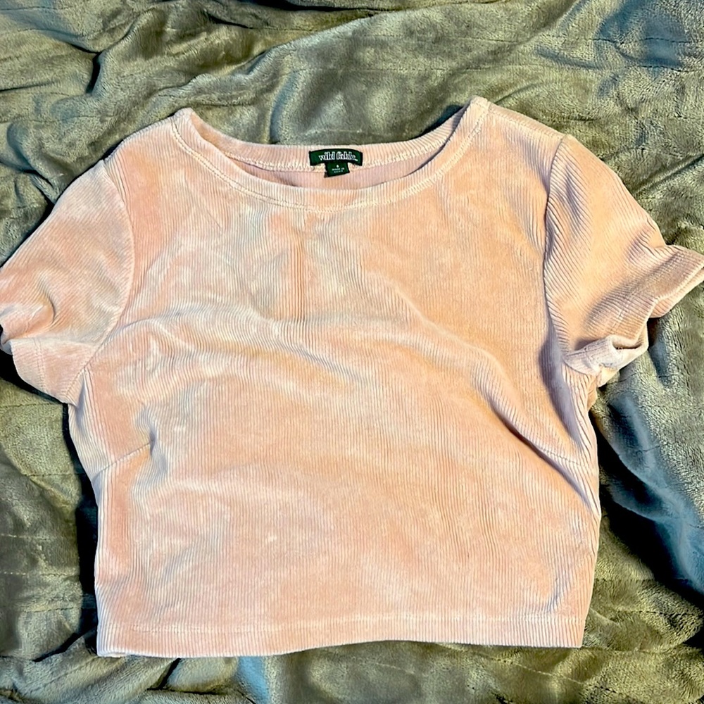Wild fable pink crop top
